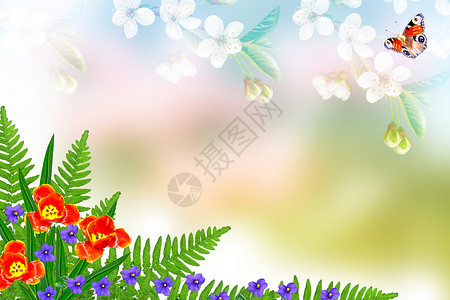 与明亮的春天花朵的花卉背景图片
