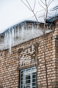 冰从房子屋顶的树叶上挂图片