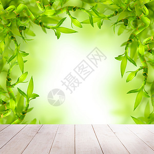 绿竹与白色空木板背景图片