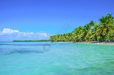 热带海滩环礁棕榈树泰国岛屿和海洋地图片