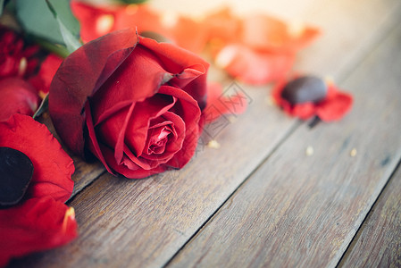 花园里的红玫瑰花自然美丽的花朵图片