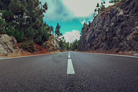 夏季森林中的荒草道路山中图片