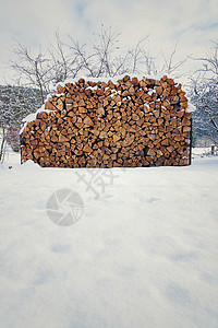雪地的一片美丽的砍柴木阳光图片