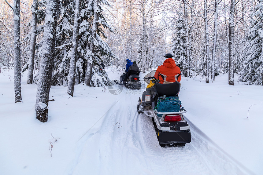 在南乌拉尔山脉的冬季森林里移动一辆雪地车图片
