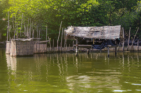 锡兰岛湖岸边渔民用木制板结图片