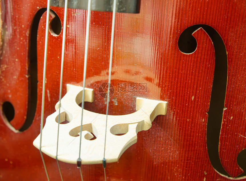 老大提琴特写的一部分图片