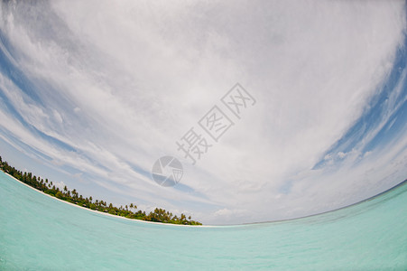 马尔代夫美丽的白沙滩有棕图片