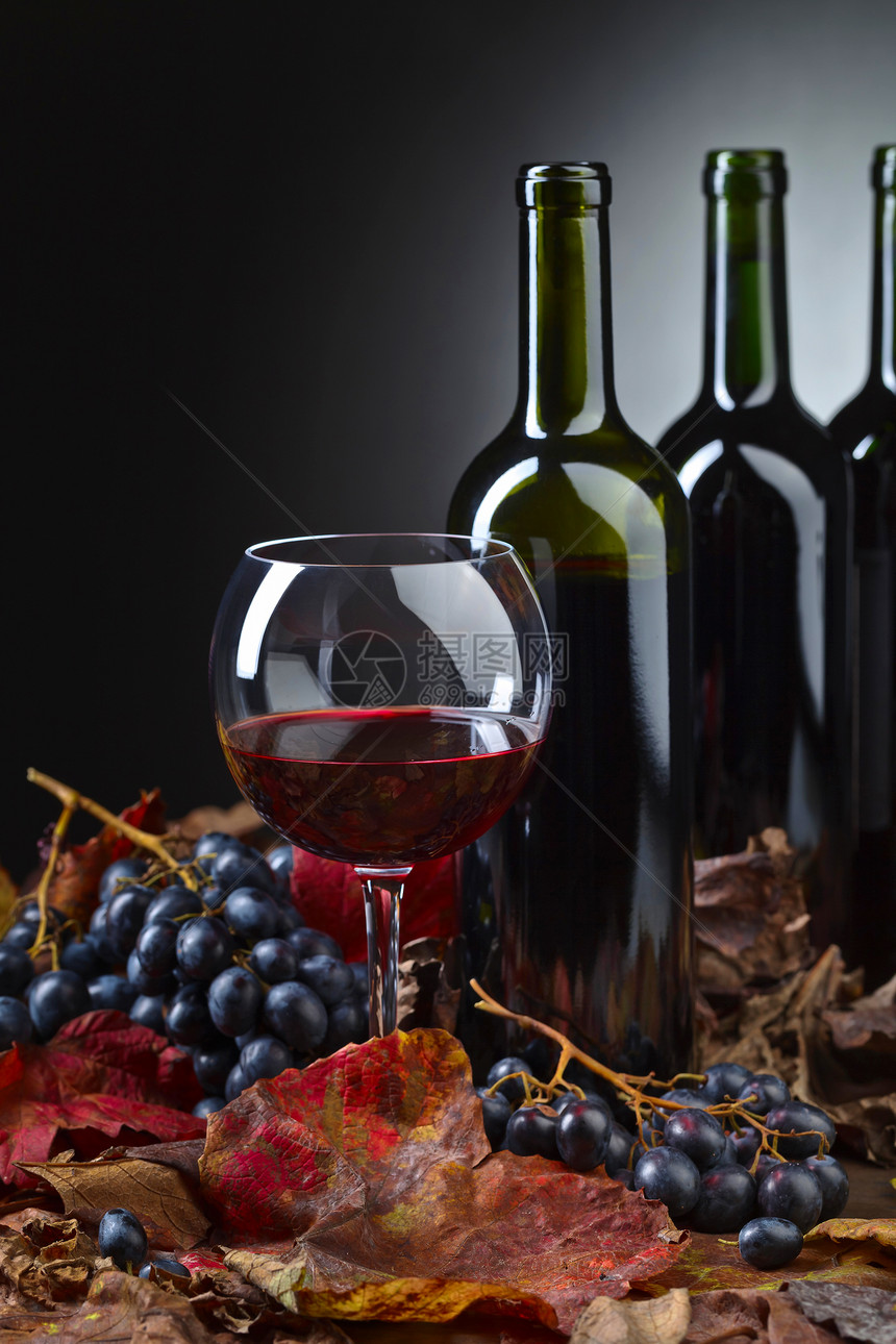 红葡萄酒葡萄和干藤叶图片