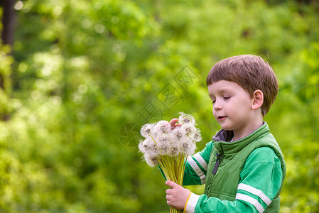 有趣的可爱男孩在温暖和阳光明媚的夏日与花朵玩得开心图片