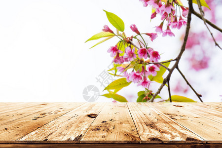 上层的木桌空着供您在春季产品和食品展示或与天空背景的粉红樱花saku图片