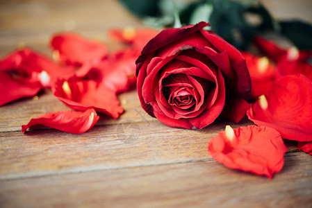 红玫瑰花自然美丽的花朵来自花园和木地板上的红玫瑰花瓣图片