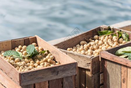 农博会一群长岛热带水果储存在印地安人市场的木箱中背景