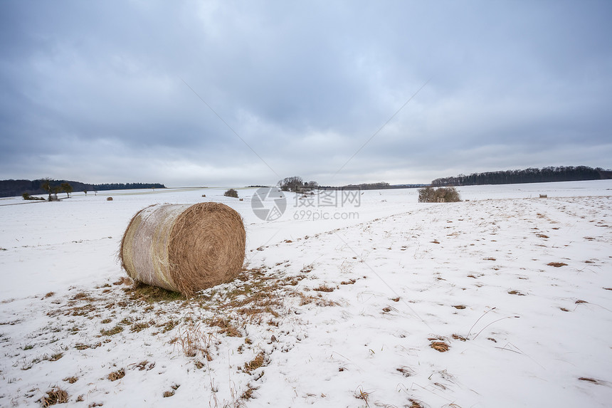 冬天的田野里有一个干草球在雪地里图片
