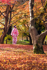 在日本京都秋天的日式花园里传统日本和服中的亚洲妇女背景图片