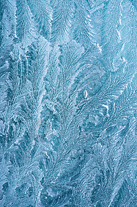 冰花冰冻冰冷的冰霜以美丽的独特图片