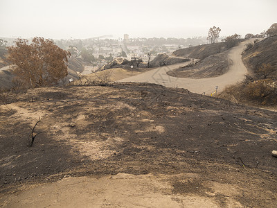 加利福尼亚州文图拉的ThomasFire所摧毁图片