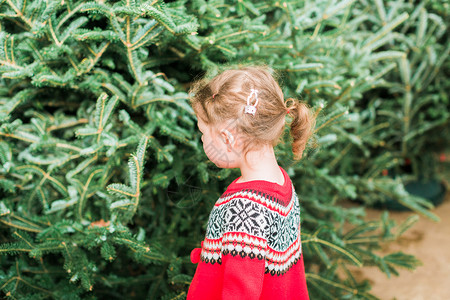 圣诞树农场的小女孩图片