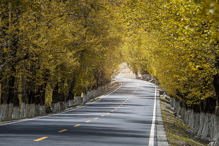 风景与柏油路图片