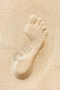 一个脚印在沙滩上的沙滩上图片