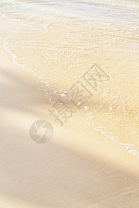 海浪柔软沙滩上有阴影白净泡沫的图片