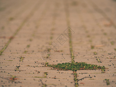 有一堆草的鹅卵石路面以绿草为背景的图片