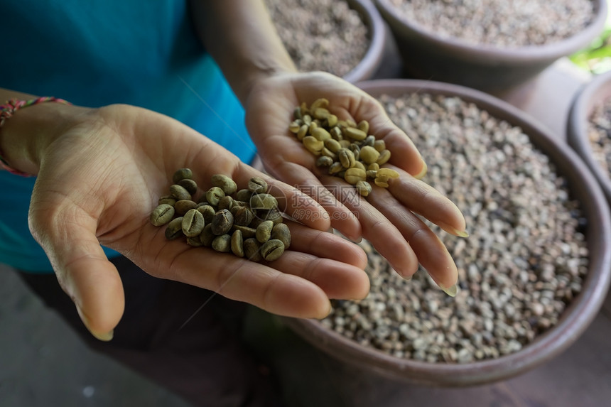 咖啡卢瓦克豆背景关闭世界上最贵的咖啡图片