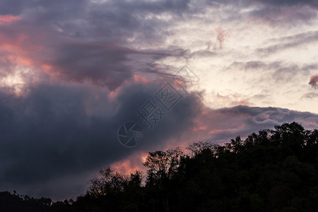 灰云天空背景和木头树图片
