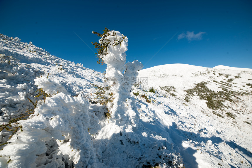 美丽的冬山雪地的图片