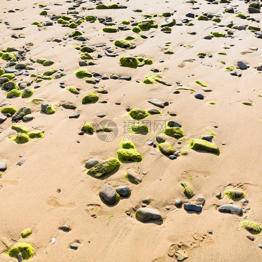 布列塔尼科特斯德阿莫尔省潘波尔地区英吉利海峡AnsedeLaunay湾海滩PlagelaBaieLaun图片