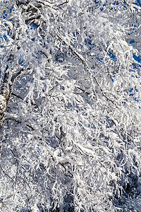 在乌拉尔山下大雪之后白云对着图片