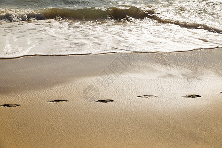 海滩岸沙滩上的沙地足图片