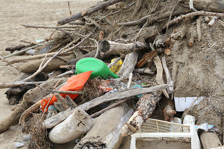 海边滩上收集的灰尘和塑料碎片和枯木图片