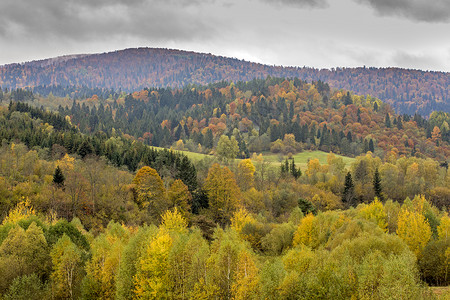 Bieszczady山波兰背景图片