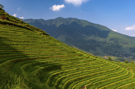 广西大寨村附近龙胜梯田的美景高清图片