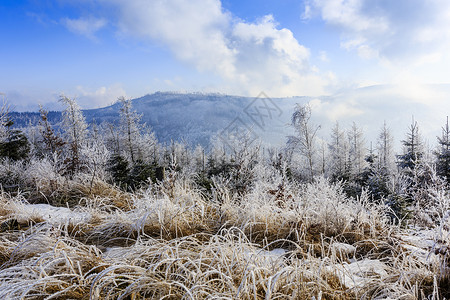 波兰贝斯基德山脉的冬季风光图片