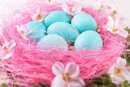 白木背景的蓝鸡蛋或绿鸡蛋粉色羽毛绿图片