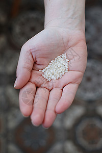 一个孩子的手有米粒的图片