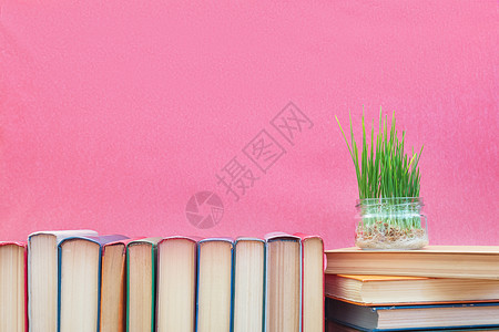 粉红背景书籍中的玻璃罐子中新鲜绿色小麦芽农业教育概图片