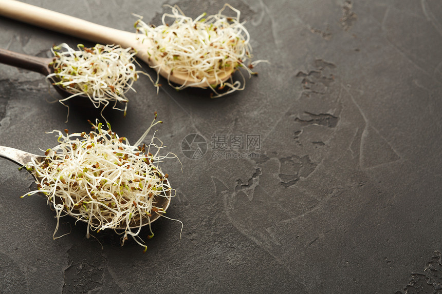 Alfalfa木勺中木制面黑背景和复制空间的木质微绿色芽现代有机烹饪原料用于餐厅饮右食和图片