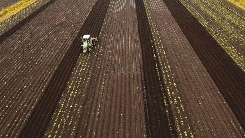 鸟瞰图拖拉机山土豆与圆盘山拖拉机的农民用苗床中耕机在农田里准备土地拖拉机犁地农图片