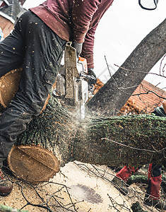 Arborist连锁木锯图片