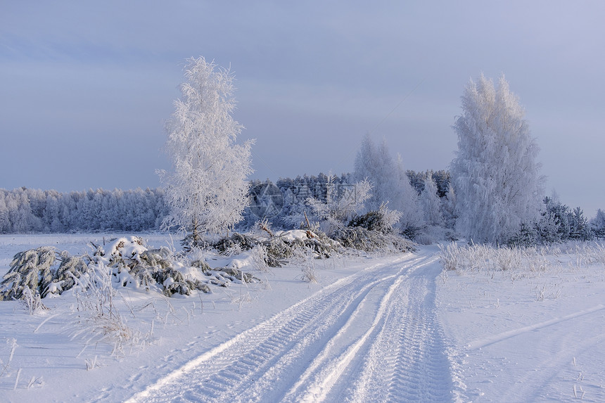 美丽的冬季乡村景观图片