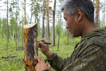 林业检查员与一群护林员在标出森林卫生采伐的地块背景图片
