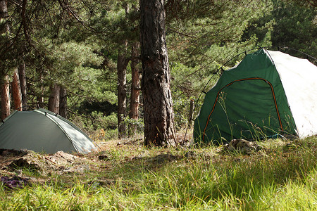 在森林露营地的帐篷图片