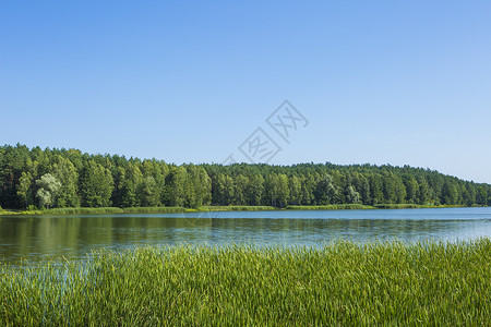 平静的风景与湖和森图片