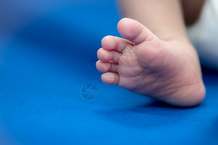 新生儿脚被蓝色毯子婴儿和保健概念复图片