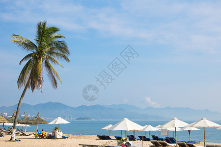 海滩上有棕榈树白色雨伞蓝海岸的沙滩椅图片