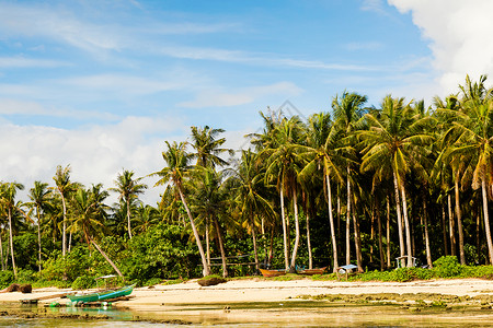 热带西阿尔高岛菲律宾有传统渔图片