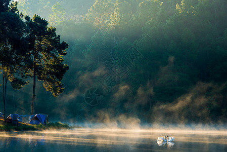 清晨在泛温湖图片