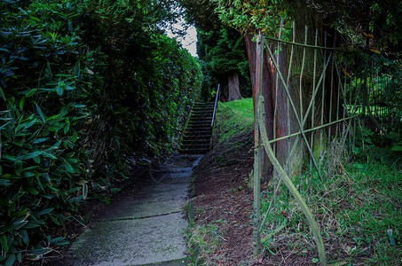 在典型的英国公园里一条长着旧栏杆的徒步走图片